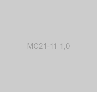 МС21-11 1,0 image